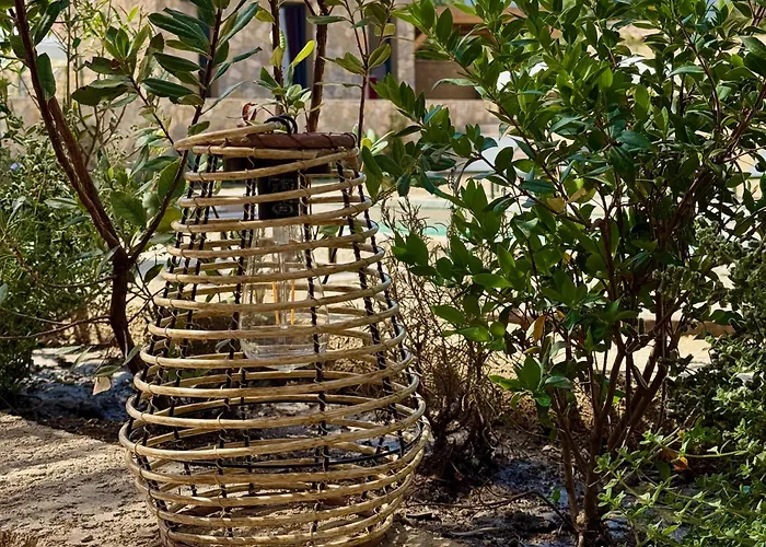 Casaromatica Maison d'hôtes Pigna